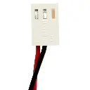 5299-07.webp