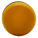 5697-02.webp