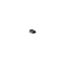 5729-02.webp
