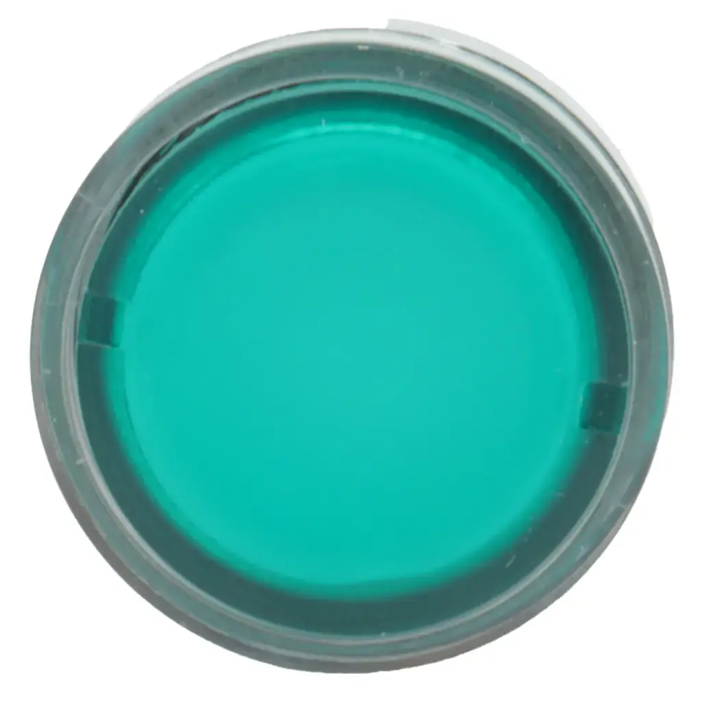 Cabeza de Pulsador Iluminado ZB4BW33 Ø22 Verde